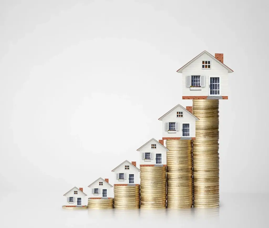 What Is PedroVazPaulo Real Estate Investment?