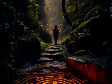 Is Path of Exile Down