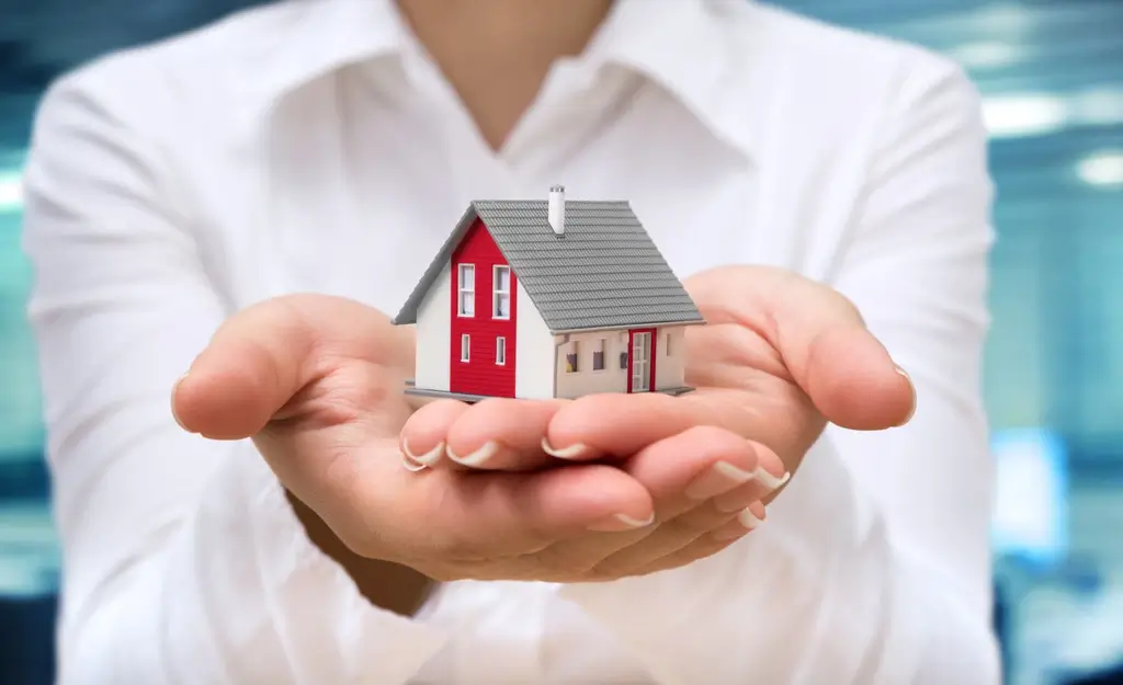 PedroVazPaulo Real Estate Investment